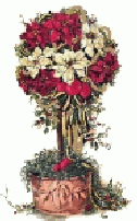 Poinsettia tree representing Christms Present