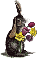 Easter Bunny (14042 bytes)