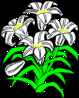 Easter Lily (5663 bytes)