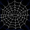 Spider web (5412 bytes)