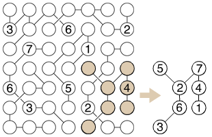 Sudoku Variants Series (029) - Clone — Rätselportal — Logic